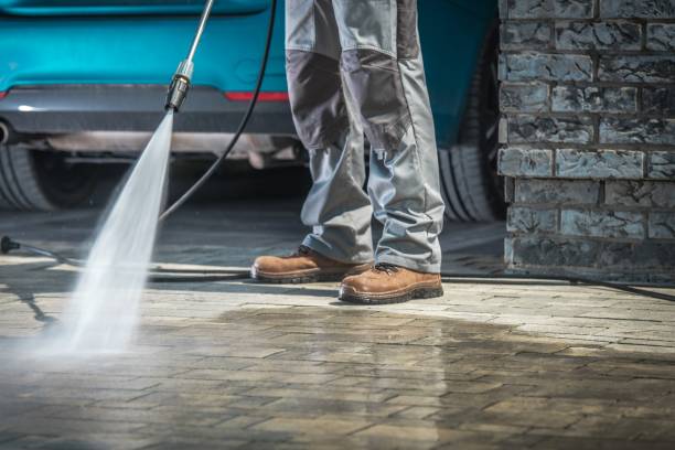 Best Roof Washing  in Taylor Creek, FL