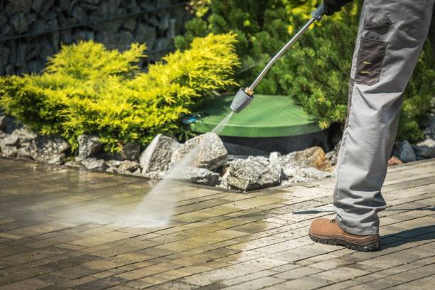 Best Solar Panel Cleaning  in Taylor Creek, FL