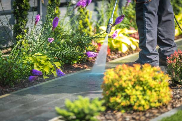 Best Animal Enclosure Cleaning  in Taylor Creek, FL